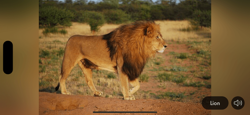 Tiergeräusche & Bilder App Screenshot 6