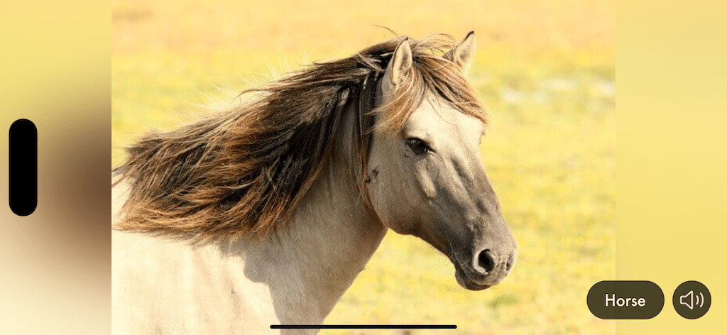 Tiergeräusche & Bilder App Screenshot 7