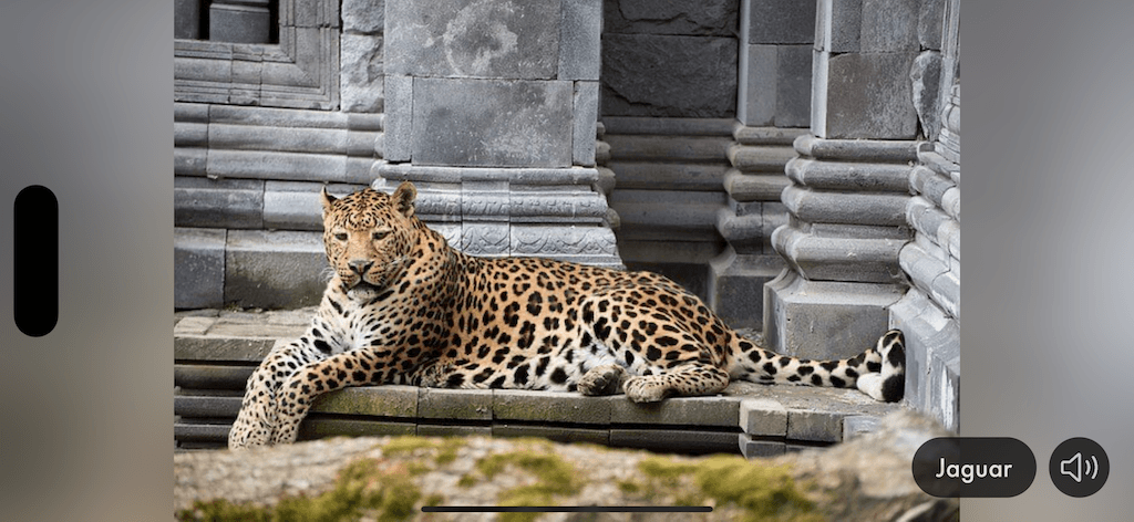 Tiergeräusche & Bilder App Screenshot 8