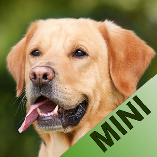 Animal Sounds mini icon
